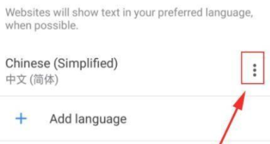 手机版谷歌浏览器怎么设置中文5