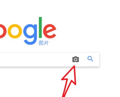 谷歌手机版怎么以图搜图6
