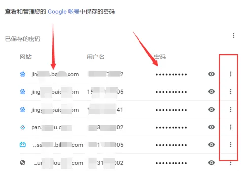 google chrome浏览器怎么删除密码记录6