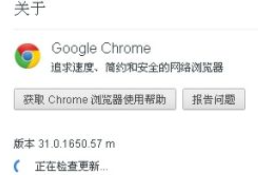 google浏览器开发版3