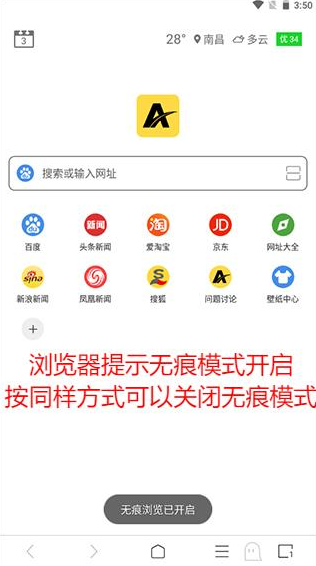 viax浏览器4