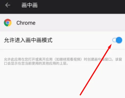 手机谷歌浏览器画中画功能怎么用7