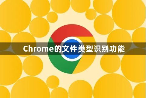 Chrome的文件类型识别功能1